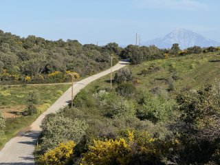 Fotografie in Ammoyliani Dimos Aristoteli Perifereiaki Enotita CHalkidikis Perifereia Kentrikis Makedonias Apokentromeni Dioikisi Makedonias - THrakis 630 75 Ellas
