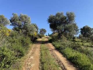 Fotografie in Ammoyliani Dimos Aristoteli Perifereiaki Enotita CHalkidikis Perifereia Kentrikis Makedonias Apokentromeni Dioikisi Makedonias - THrakis 630 75 Ellas