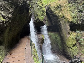 Photo in Levada Nova Ponta do Sol Madeira 9360-545 Portugal
