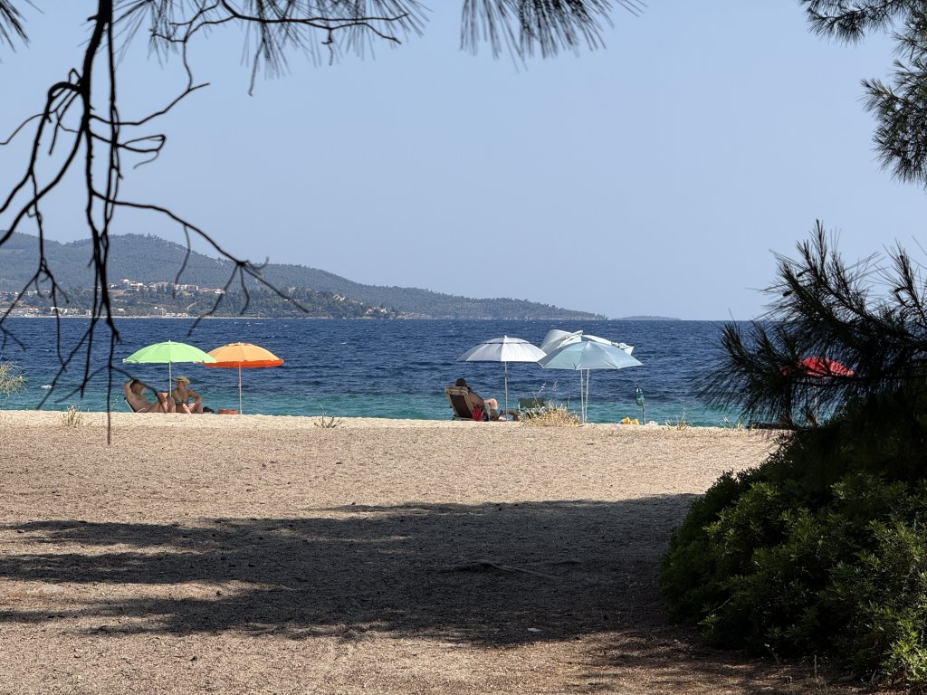 Photo in Lagomandra Beach Elia Dimotiki Enotita Sithonias Dimos Sithonias Perifereiaki Enotita CHalkidikis Perifereia Kentrikis Makedonias Apokentromeni Dioikisi Makedonias - THrakis 630 88 Ellas