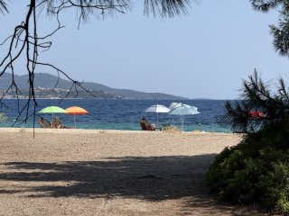 Photo in Lagomandra Beach Elia Dimotiki Enotita Sithonias Dimos Sithonias Perifereiaki Enotita CHalkidikis Perifereia Kentrikis Makedonias Apokentromeni Dioikisi Makedonias - THrakis 630 88 Ellas