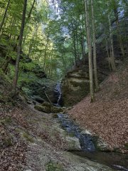 Photo in Drum forestier spre Lacul V?lsan Gruiu Nuc?oara Arge? 117541 Rom?nia
