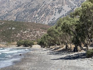 Photo in Community of Pachia Ammos Ierapetra Municipal Unit Municipality of Ierapetra Lasithi Regional Unit Region of Crete Greece