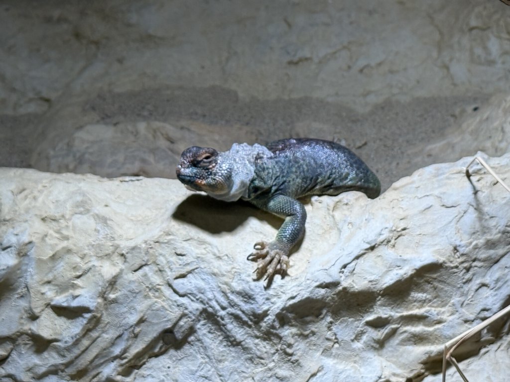 Photo in Tropenaquarium 2 Lokstedter Grenzstrasse Lokstedt Eimsbuttel Hamburg 22527 Germany