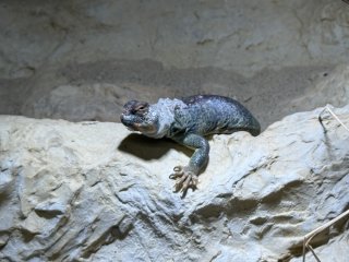 Photo in Tropenaquarium 2 Lokstedter Grenzstrasse Lokstedt Eimsbuttel Hamburg 22527 Germany