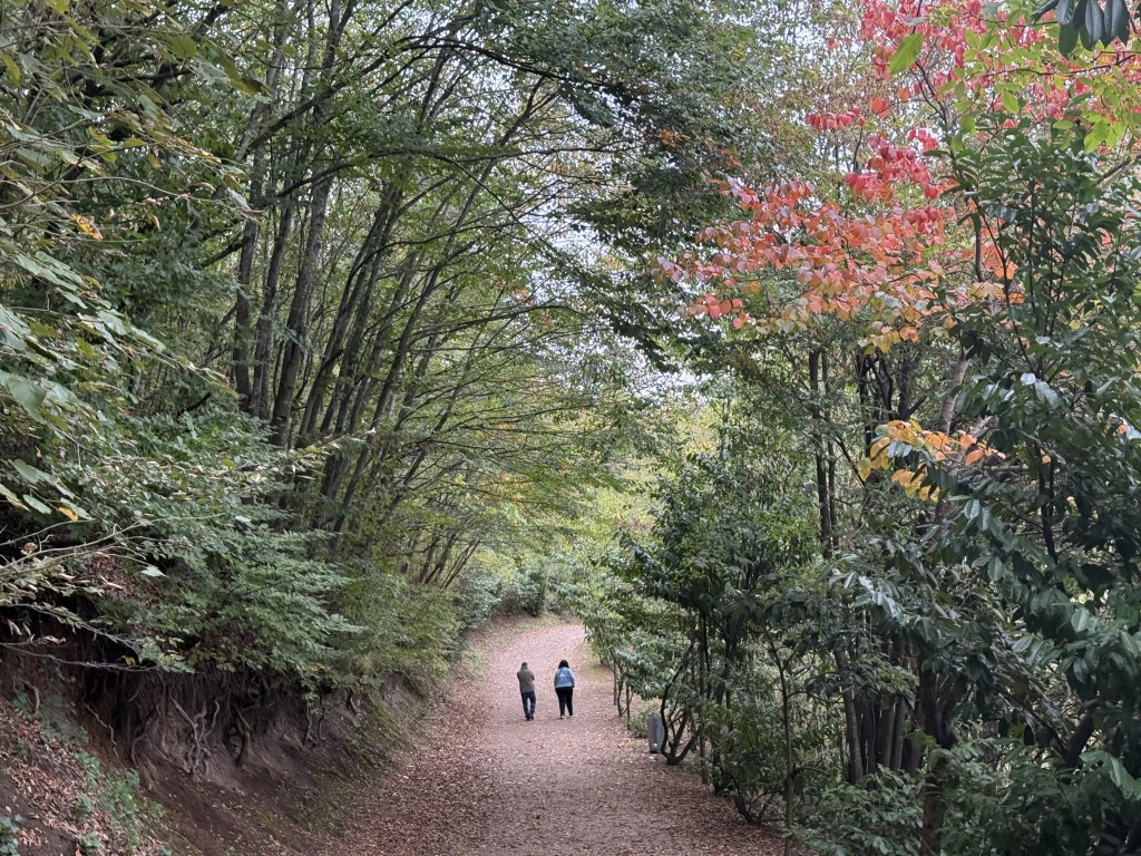 Photo in Yuvacik Yakacik Mahallesi Camiduzu Mahallesi Basiskele Kocaeli Marmara Region 41090 Turkey
