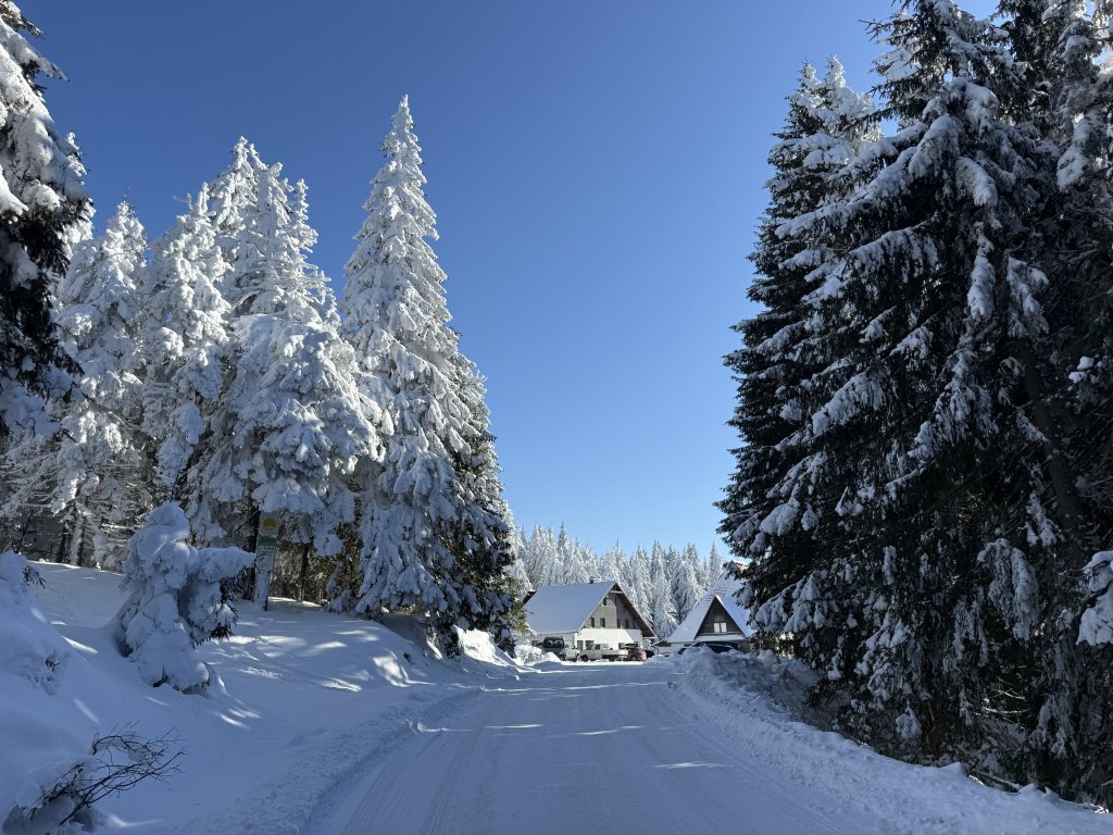 Photo in Zetea Harghita 530111 Romania