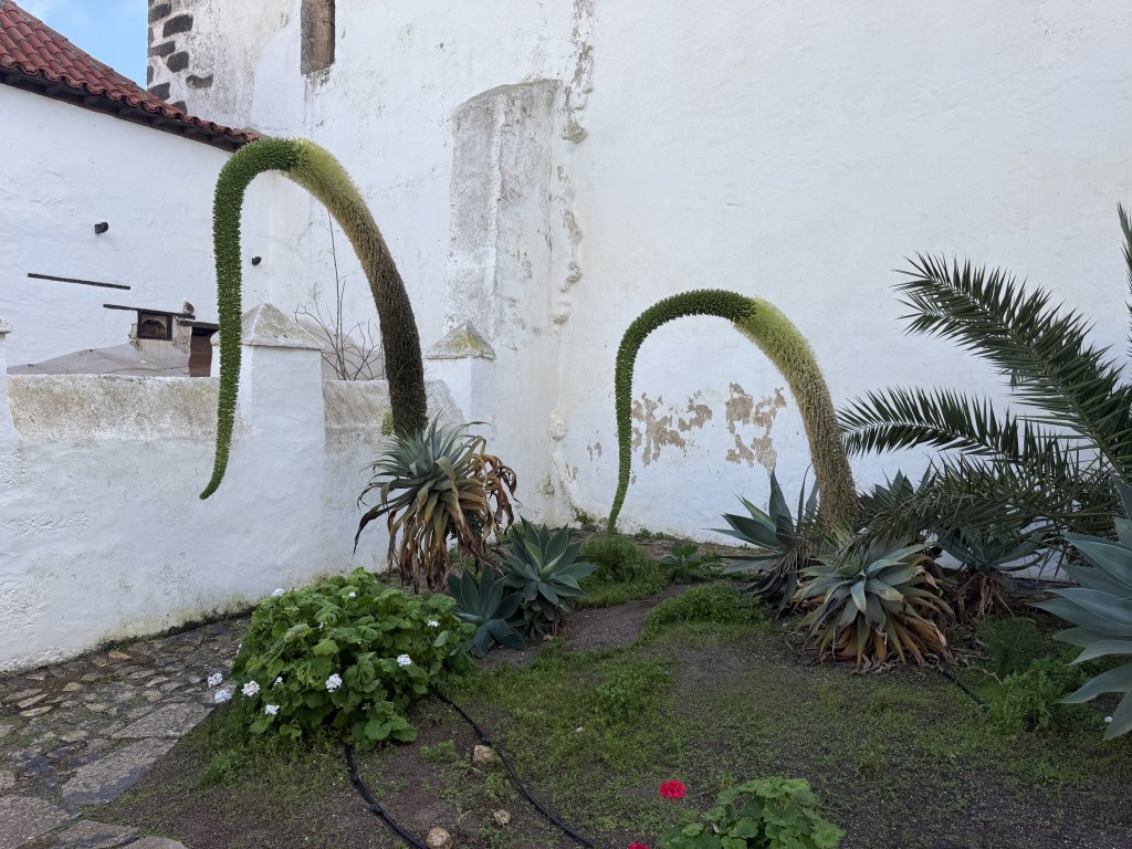 Photo in Calle San Diego de Alcala Betancuria Las Palmas Canary Islands 35637 Spain