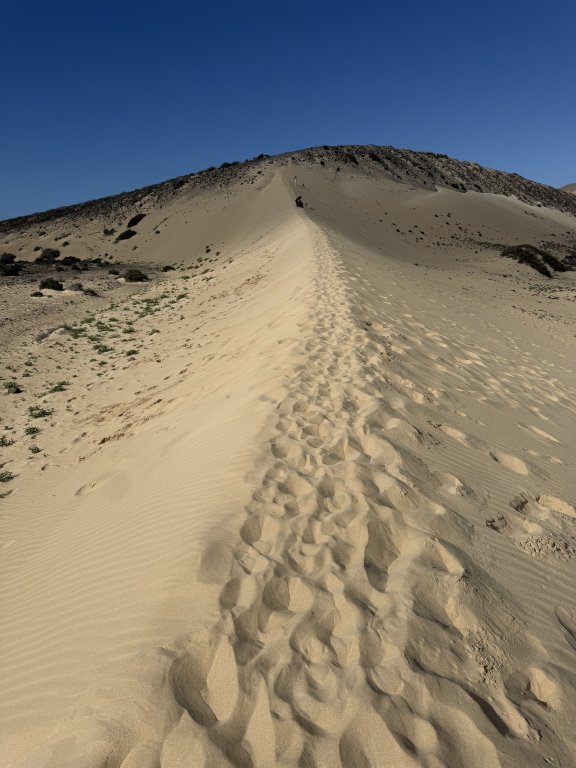 Photo in Sanddunes GR 131 Pajara Las Palmas Canary Islands 35626 Spain