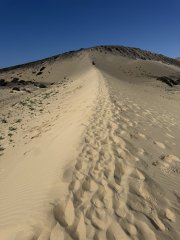 Photo in Sanddunes GR 131 Pajara Las Palmas Canary Islands 35626 Spain