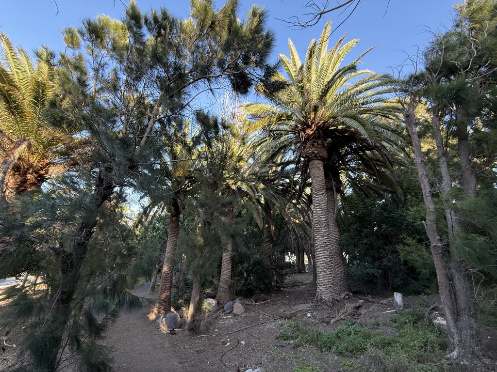 Photo in FV-603 Canada del Rio Costa Calma Pajara Las Palmas Canary Islands 35627 Spain