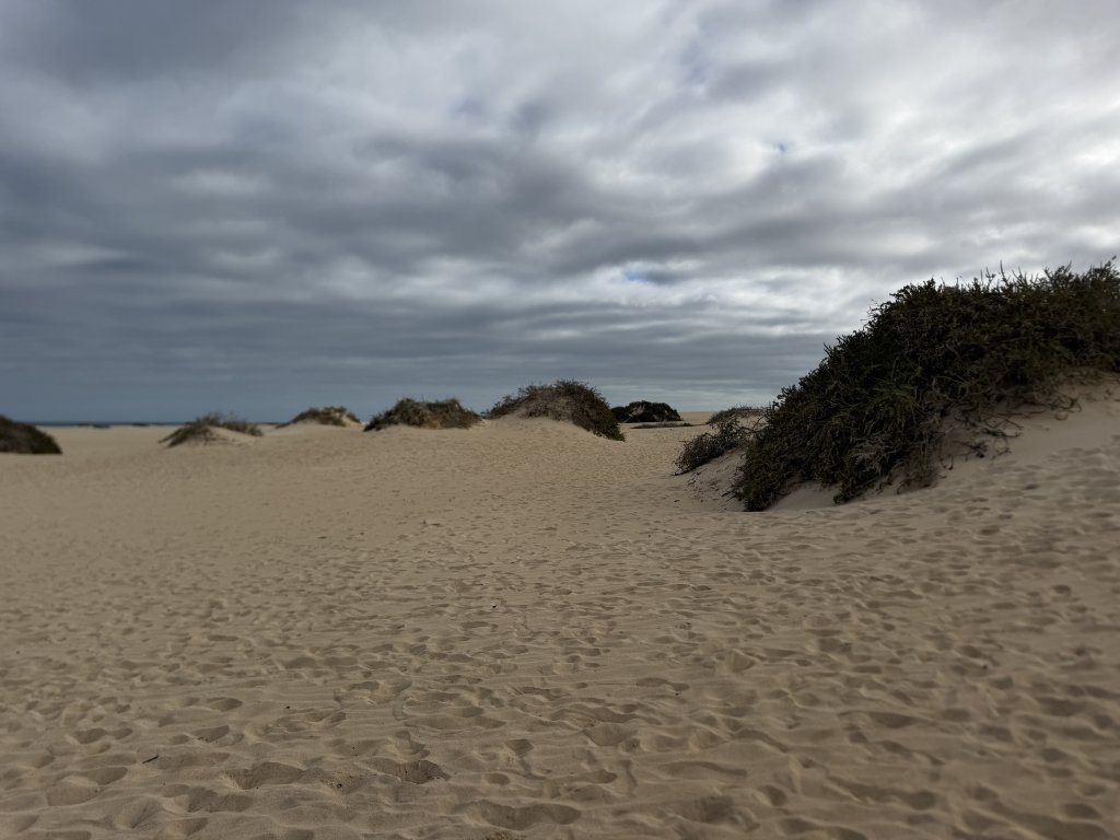 Photo in Playa Larga FV-104 La Oliva Las Palmas Canary Islands 35660 Spain