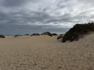 Photo in Playa Larga FV-104 La Oliva Las Palmas Canary Islands 35660 Spain