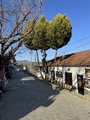 Photo in Sirince Mahallesi Selcuk Izmir Aegean Region 35920 Turkey