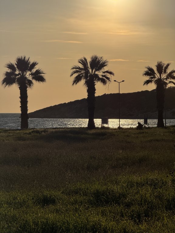 Photo in Yoncakoy Ahmetbeyli Mahallesi Menderes Aegean Region 35471 Turkey