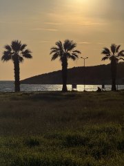 Photo in Yoncakoy Ahmetbeyli Mahallesi Menderes Aegean Region 35471 Turkey