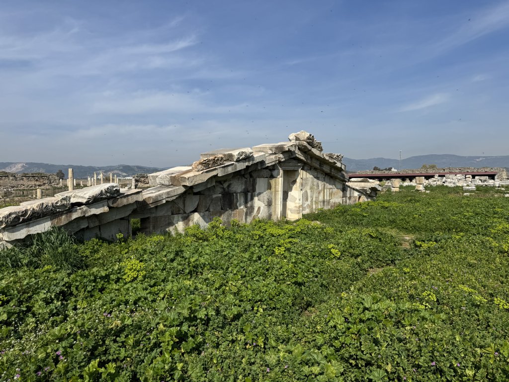Photo in Magnesia Izmir - Soke Yolu Tekin Germencik Aydin Aegean Region 09700 Turkey