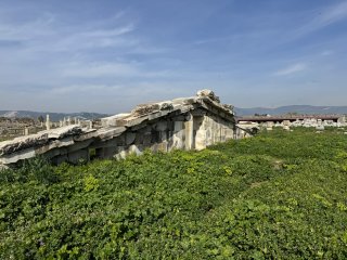 Photo in Magnesia Izmir - Soke Yolu Tekin Germencik Aydin Aegean Region 09700 Turkey