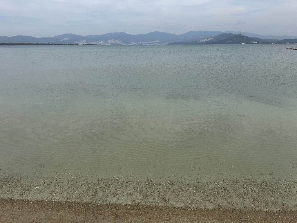 Photo in Al Dente Gaye i Sitesi Didim Aydin Aegean Region 09270 Turkey