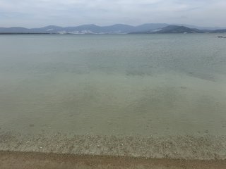 Photo in Al Dente Gaye i Sitesi Didim Aydin Aegean Region 09270 Turkey