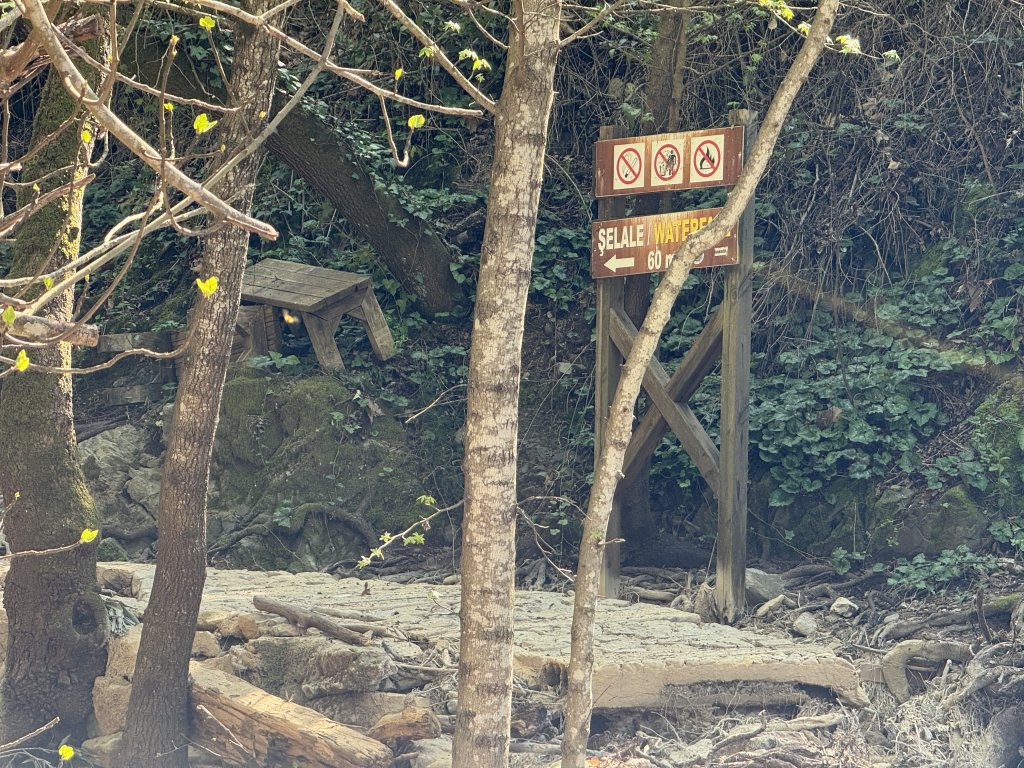 Photo in Marmaris Bozburun Yolu Turgut Marmaris Mugla Aegean Region Turkey