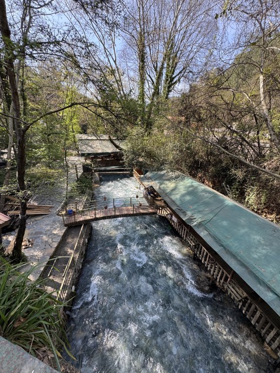 Photo in Topgozu Koycegiz Mugla Aegean Region Turkey