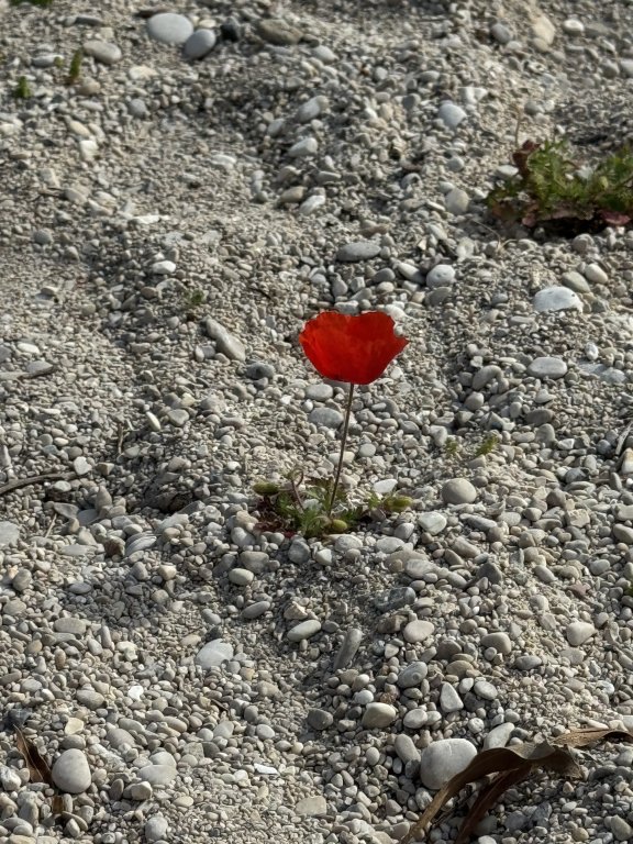 Photo in Oludeniz Beach Oludeniz Caddesi Belcegiz Oludeniz Fethiye Mugla Aegean Region 48340 Turkey