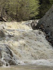 Photo in Cerasu Maneciu Prahova 107141 Romania