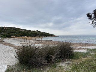 Photo in Cala Granu Via Cala Granu Liscia di Vacca Porto Cervo AlzachenaArzachena Gallura Nord-Est Sardegna Sardinia Italy