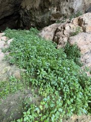 Photo in DomunoasDomusnovas Sulcis Iglesiente Sardinia 09015 Italy