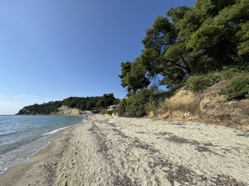 Photo in Elani Bay Resort ????u?????? ???? ?????????? Siviri Kassandra Municipal Unit Kassandra Municipality Chalkidiki Regional Unit Central Macedonia Macedonia and Thrace 630 77 Greece