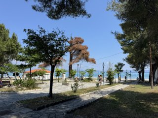 Photo in ??????? Chaniotis Pallini Municipal Unit Kassandra Municipality Chalkidiki Regional Unit Central Macedonia Macedonia and Thrace 630 85 Greece