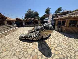 Photo in Turtle Poolside Porto Roma ?. ????????? Zakynthos Municipal Unit Zakynthos Municipality Zakynthos Regional Unit Ioanian Islands Peloponnese Western Greece and the Ionian Greece