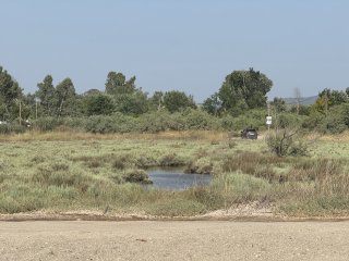 Photo in Istiaia-Aidipsos Municipality Euboea Regional Unit Central Greece Thessaly and Central Greece 340 12 Greece