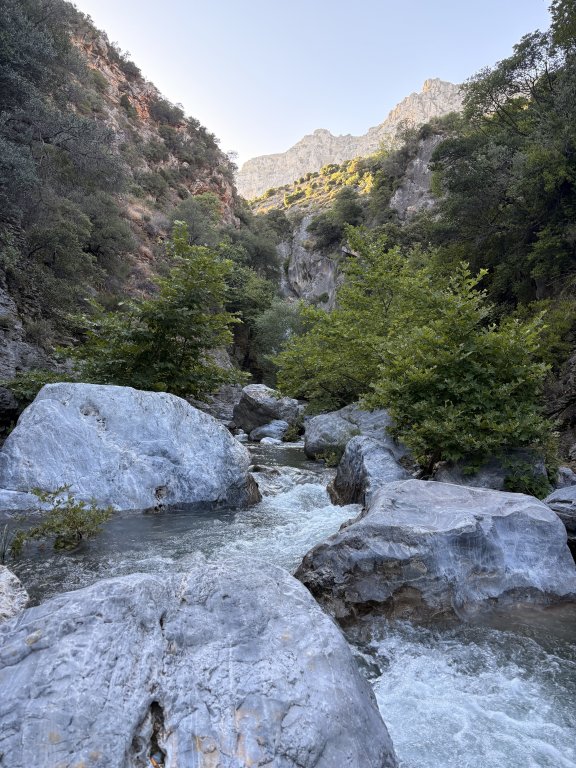 Photo in ????? - ?????? ??? ??????? Kymi - Aliveri Anna Municipality Euboea Regional Unit Central Greece Thessaly and Central Greece 340 16 Greece